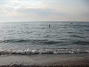 Western Michigan [2009] 578